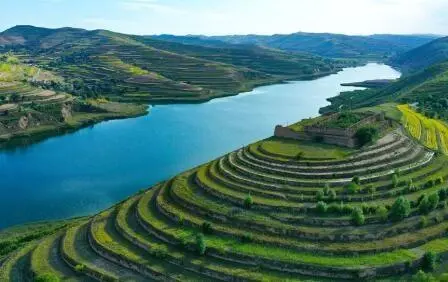 重點行業VOCs治理“一企一策”！寧夏空氣質量持續改善行動實施方案公開征求意見