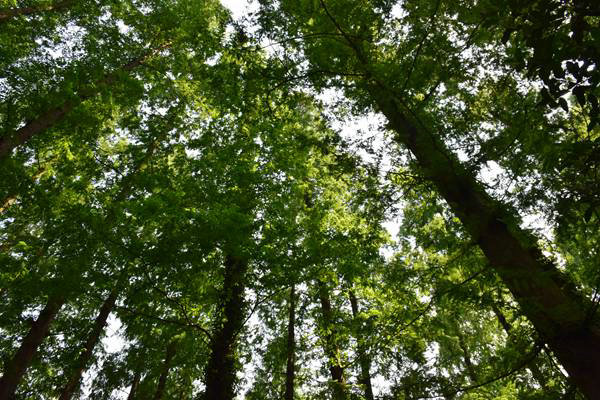 廣州市珠海、天河區全力推進秋冬季大氣污染防治攻堅工作