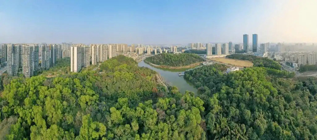 “三進三同”攜手共進，江門站助力區縣監測見成效