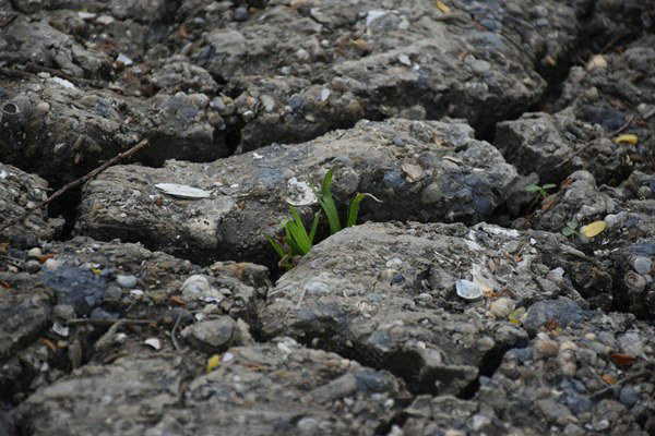 和田地區全域開展危廢規范化評估 守護生態環境安全