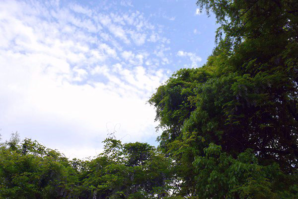 生態(tài)環(huán)境部部長黃潤秋出席甲烷與其他非二氧化碳溫室氣體峰會并會見外方高級代表