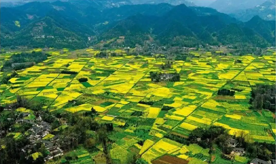 讓美麗四川顏值更高、實力更強！示范創(chuàng)建將從三方面發(fā)力