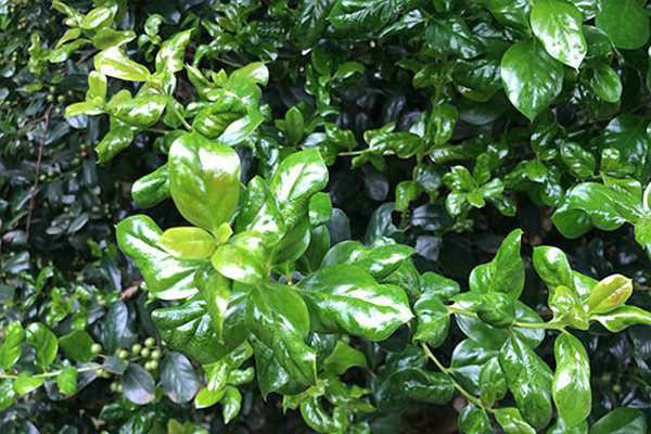 宣城市“十四五”治污攻堅重大工程建設(shè)成效亮眼